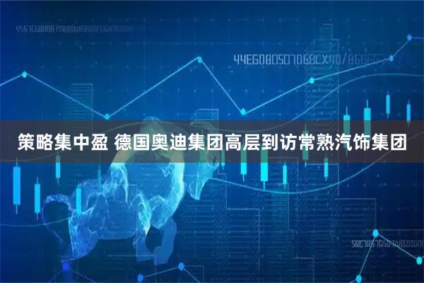 策略集中盈 德国奥迪集团高层到访常熟汽饰集团