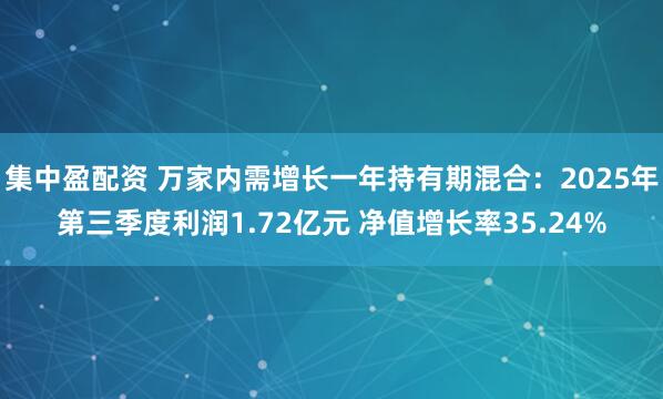 集中盈配资 万家内需增长一年持有期混合：2025年第三季度利润1.72亿元 净值增长率35.24%